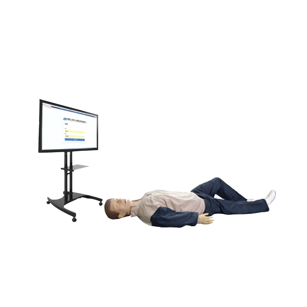 心肺复苏模拟实训系统